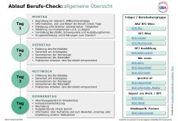 Ablauf Berufs Check 2025 (PDF)