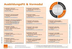 Übersicht AusbildungsFit – VOPS Wien (PDF)