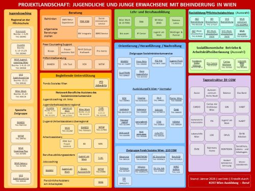Projektlandschaft Jgdl. mit Behinderung Wien (PDF)